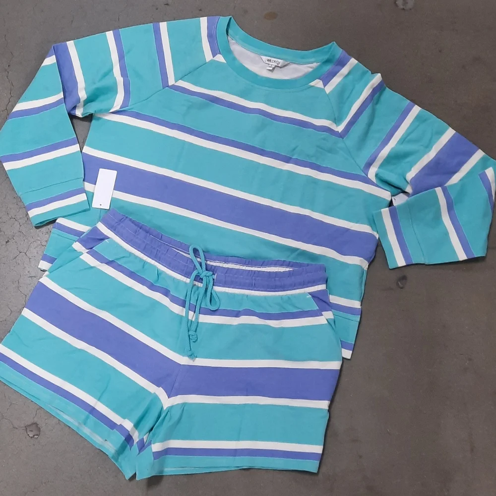 Wildfox Relaxed Fit Striped Sweatshirt and - Picture 2 of 15